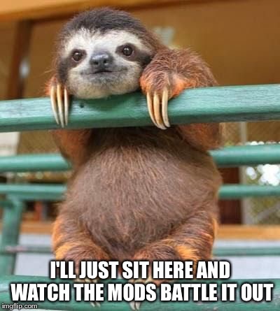 cute-sloth | I'LL JUST SIT HERE AND WATCH THE MODS BATTLE IT OUT | image tagged in cute-sloth | made w/ Imgflip meme maker
