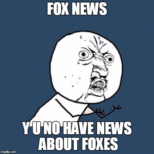 Y U No | FOX NEWS Y U NO HAVE NEWS ABOUT FOXES | image tagged in memes,y u no | made w/ Imgflip meme maker