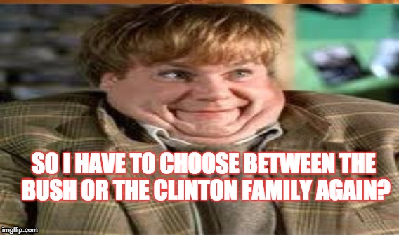 voter | SO I HAVE TO CHOOSE BETWEEN THE BUSH OR THE CLINTON FAMILY AGAIN? | image tagged in funny,clinton,bush,politics | made w/ Imgflip meme maker