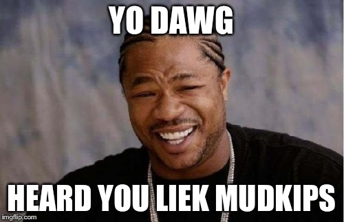 Yo Dawg Heard You | YO DAWG HEARD YOU LIEK MUDKIPS | image tagged in memes,yo dawg heard you | made w/ Imgflip meme maker