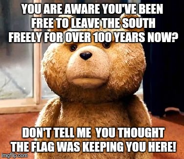 TED Meme | YOU ARE AWARE YOU'VE BEEN FREE TO LEAVE THE SOUTH FREELY FOR OVER 100 YEARS NOW? DON'T TELL ME  YOU THOUGHT THE FLAG WAS KEEPING YOU HERE! | image tagged in memes,ted | made w/ Imgflip meme maker