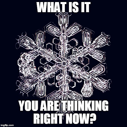 WHAT IS IT YOU ARE THINKING RIGHT NOW? | image tagged in watermemory thoughtsbecomethings | made w/ Imgflip meme maker