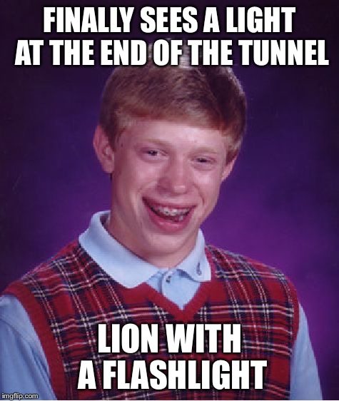 Bad Luck Brian Meme | FINALLY SEES A LIGHT AT THE END OF THE TUNNEL LION WITH A FLASHLIGHT | image tagged in memes,bad luck brian | made w/ Imgflip meme maker