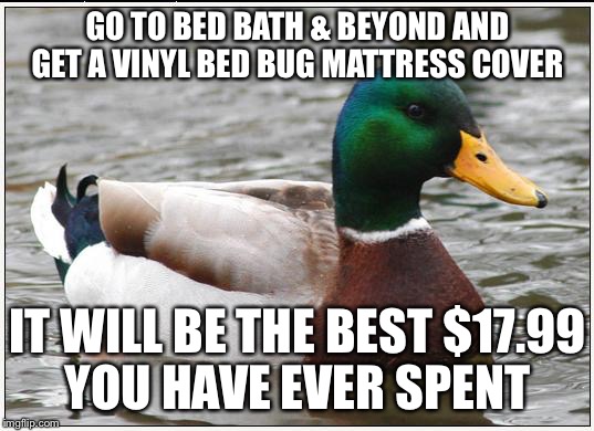 Actual Advice Mallard Meme | GO TO BED BATH & BEYOND AND GET A VINYL BED BUG MATTRESS COVER IT WILL BE THE BEST $17.99 YOU HAVE EVER SPENT | image tagged in memes,actual advice mallard,AdviceAnimals | made w/ Imgflip meme maker