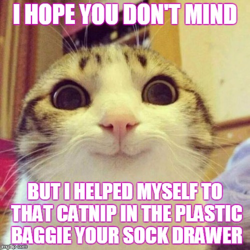 Smiling Cat Meme | I HOPE YOU DON'T MIND BUT I HELPED MYSELF TO THAT CATNIP IN THE PLASTIC BAGGIE YOUR SOCK DRAWER | image tagged in memes,smiling cat | made w/ Imgflip meme maker