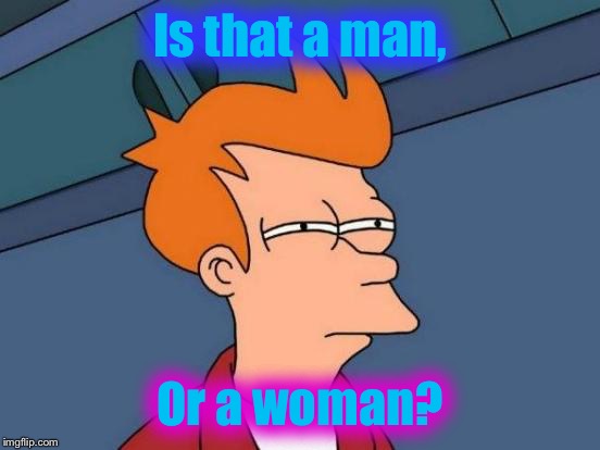 Is it? | Is that a man, Or a woman? | image tagged in memes,futurama fry | made w/ Imgflip meme maker