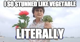 I SO STUNNED LIKE VEGETABLE LITERALLY | image tagged in i so stunned like vegetable | made w/ Imgflip meme maker