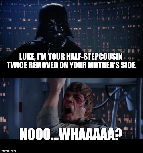 Star Wars No | LUKE, I'M YOUR HALF-STEPCOUSIN TWICE REMOVED ON YOUR MOTHER'S SIDE. NOOO...WHAAAAA? | image tagged in memes,star wars no | made w/ Imgflip meme maker