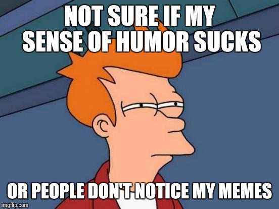 Whenever my memes get no votes whatsoever | NOT SURE IF MY SENSE OF HUMOR SUCKS OR PEOPLE DON'T NOTICE MY MEMES | image tagged in memes,futurama fry | made w/ Imgflip meme maker