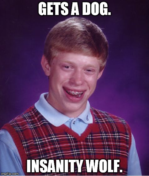 Bad Luck Brian Meme | GETS A DOG. INSANITY WOLF. | image tagged in memes,bad luck brian | made w/ Imgflip meme maker