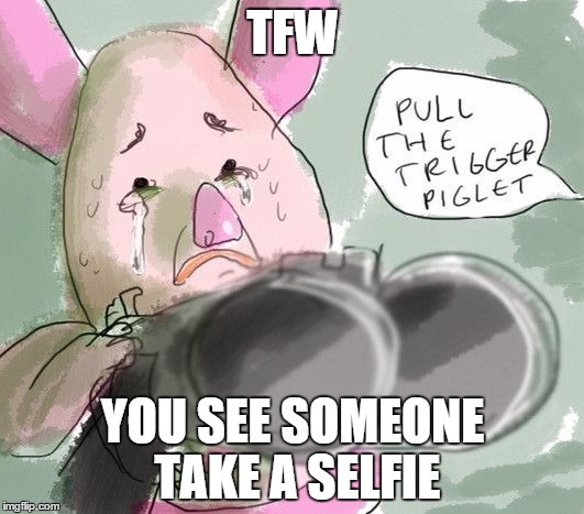 "Selfie Stick that murders people" | TFW YOU SEE SOMEONE TAKE A SELFIE | image tagged in selfies,meme | made w/ Imgflip meme maker