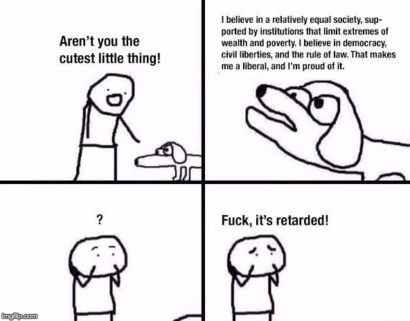 Retarded Dog | image tagged in retarded dog | made w/ Imgflip meme maker