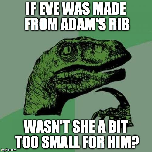 Philosoraptor | IF EVE WAS MADE FROM ADAM'S RIB WASN'T SHE A BIT TOO SMALL FOR HIM? | image tagged in memes,philosoraptor | made w/ Imgflip meme maker