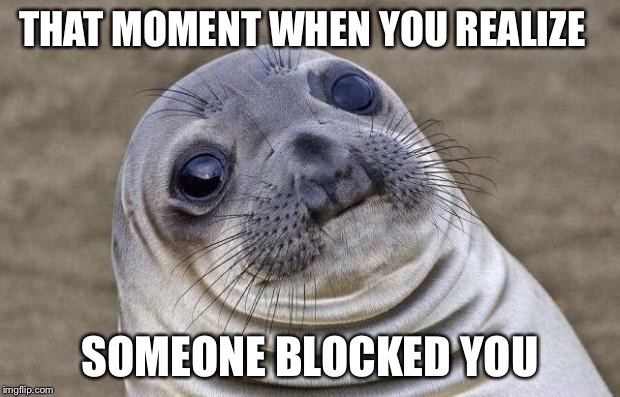 Awkward Moment Sealion | THAT MOMENT WHEN YOU REALIZE SOMEONE BLOCKED YOU | image tagged in memes,awkward moment sealion | made w/ Imgflip meme maker