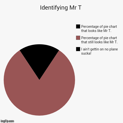 Identifying Mr T. | image tagged in funny,pie charts,mr t pity the fool,mr t | made w/ Imgflip chart maker