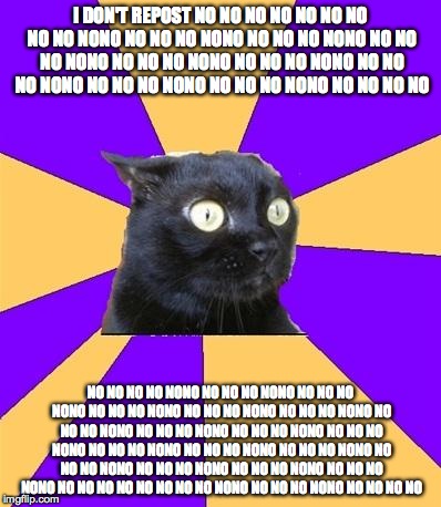 Social Anxiety Cat | I DON'T REPOST NO NO NO NO NO NO NO NO NO NONO NO NO NO NONO NO NO NO NONO NO NO NO NONO NO NO NO NONO NO NO NO NONO NO NO NO NONO NO NO NO  | image tagged in social anxiety cat | made w/ Imgflip meme maker