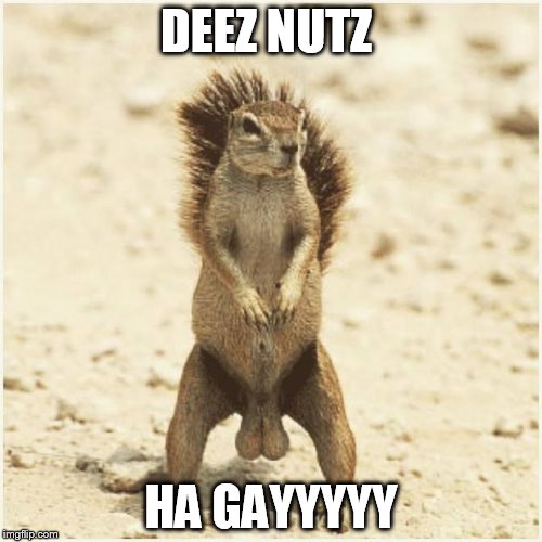 DEEZ NUTS | DEEZ NUTZ HA GAYYYYY | image tagged in deez nuts | made w/ Imgflip meme maker