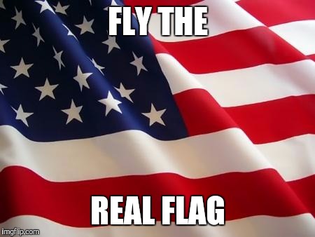 American flag | FLY THE REAL FLAG | image tagged in american flag | made w/ Imgflip meme maker
