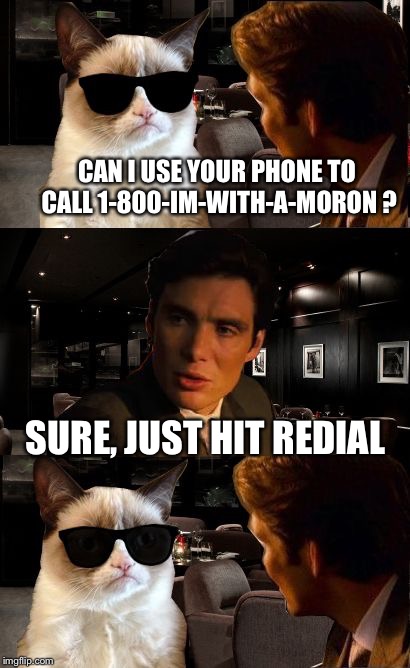 It's not everyday can zing Grumpy Cat back | CAN I USE YOUR PHONE TO CALL 1-800-IM-WITH-A-MORON ? SURE, JUST HIT REDIAL | image tagged in leonardo and grumpy cat,memes | made w/ Imgflip meme maker