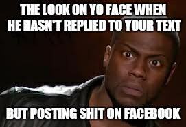 Kevin Hart Meme | THE LOOK ON YO FACE WHEN HE HASN'T REPLIED TO YOUR TEXT BUT POSTING SHIT ON FACEBOOK | image tagged in memes,kevin hart the hell | made w/ Imgflip meme maker