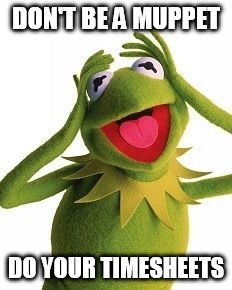 DON'T BE A MUPPET DO YOUR TIMESHEETS | image tagged in muppets,muppet,timesheet,timesheets,meme | made w/ Imgflip meme maker
