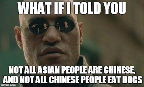 Matrix Morpheus Meme | WHAT IF I TOLD YOU NOT ALL ASIAN PEOPLE ARE CHINESE, AND NOT ALL CHINESE PEOPLE EAT DOGS | image tagged in memes,matrix morpheus | made w/ Imgflip meme maker