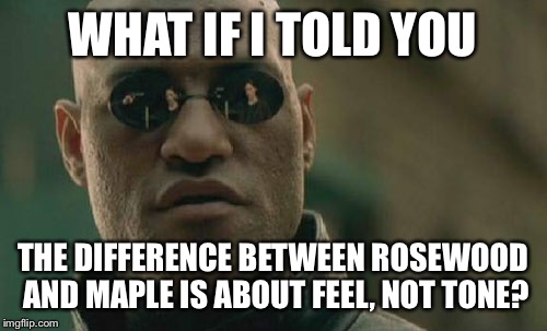 Matrix Morpheus Meme | WHAT IF I TOLD YOU THE DIFFERENCE BETWEEN ROSEWOOD AND MAPLE IS ABOUT FEEL, NOT TONE? | image tagged in memes,matrix morpheus | made w/ Imgflip meme maker