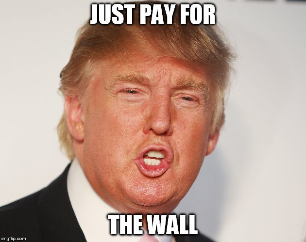 Pay for the wall | JUST PAY FOR THE WALL | image tagged in donald trump | made w/ Imgflip meme maker