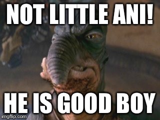 Not little Ani! | NOT LITTLE ANI! HE IS GOOD BOY | image tagged in humor,star wars | made w/ Imgflip meme maker