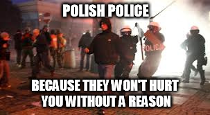 Polish police | POLISH POLICE BECAUSE THEY WON'T HURT YOU WITHOUT A REASON | image tagged in poland | made w/ Imgflip meme maker