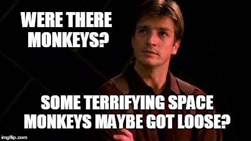Were there monkeys? | WERE THERE MONKEYS? SOME TERRIFYING SPACE MONKEYS MAYBE GOT LOOSE? | image tagged in malcom reynolds,monkeys | made w/ Imgflip meme maker