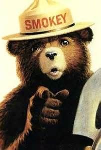 High Quality Smokey the bear Blank Meme Template