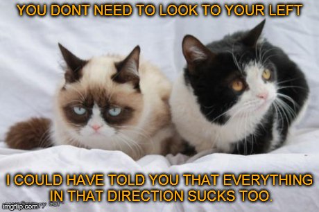 image tagged in gifs,funny,memes,grumpy cat,cats | made w/ Imgflip meme maker
