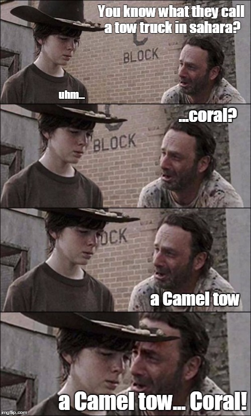 the walking dead coral | You know what they call a tow truck in sahara? a Camel tow... Coral! uhm... a Camel tow ...coral? | image tagged in the walking dead coral | made w/ Imgflip meme maker