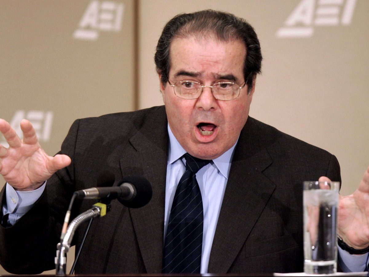 High Quality scalia Blank Meme Template