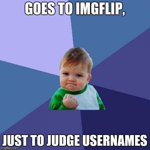GOES TO IMGFLIP, JUST TO JUDGE USERNAMES | image tagged in memes,success kid | made w/ Imgflip meme maker