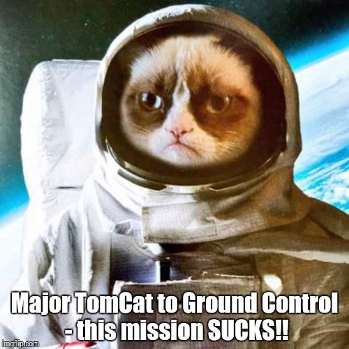 Grumpy Cat in Space! | Major TomCat to Ground Control - this mission SUCKS!! | image tagged in grumpy cat | made w/ Imgflip meme maker
