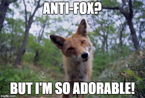 ANTI-FOX? BUT I'M SO ADORABLE! | image tagged in confused fox | made w/ Imgflip meme maker