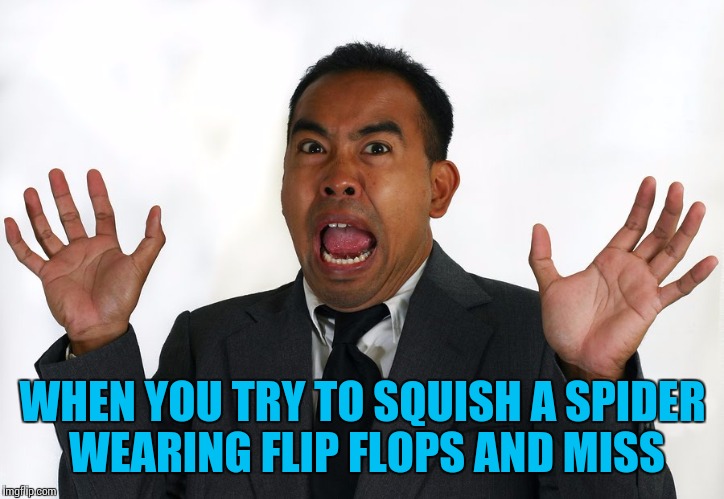 It's going to get me! | WHEN YOU TRY TO SQUISH A SPIDER WEARING FLIP FLOPS AND MISS | image tagged in spiders,flip flops,funny,scared | made w/ Imgflip meme maker