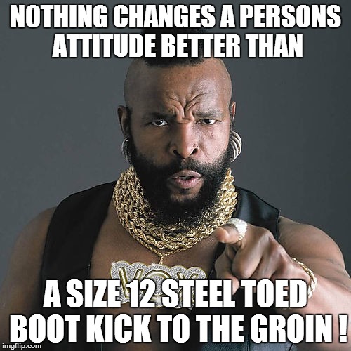 Mr T Pity The Fool Meme | NOTHING CHANGES A PERSONS ATTITUDE BETTER THAN A SIZE 12 STEEL TOED BOOT KICK TO THE GROIN ! | image tagged in memes,mr t pity the fool | made w/ Imgflip meme maker