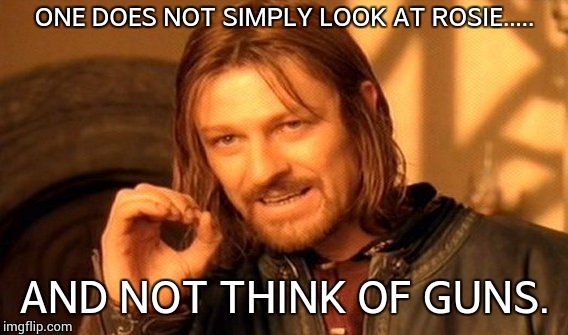 One Does Not Simply Meme | ONE DOES NOT SIMPLY LOOK AT ROSIE..... AND NOT THINK OF GUNS. | image tagged in memes,one does not simply | made w/ Imgflip meme maker