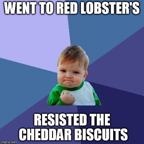 Success Kid Meme | WENT TO RED LOBSTER'S RESISTED THE CHEDDAR BISCUITS | image tagged in memes,success kid,ketorage | made w/ Imgflip meme maker