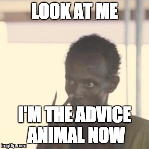Look At Me | LOOK AT ME I'M THE ADVICE ANIMAL NOW | image tagged in look at me | made w/ Imgflip meme maker