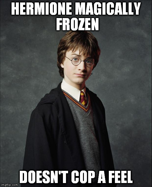 Harry Potter | HERMIONE MAGICALLY FROZEN DOESN'T COP A FEEL | image tagged in harry potter | made w/ Imgflip meme maker