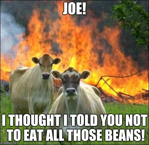 Evil Cows Meme | JOE! I THOUGHT I TOLD YOU NOT TO EAT ALL THOSE BEANS! | image tagged in memes,evil cows | made w/ Imgflip meme maker