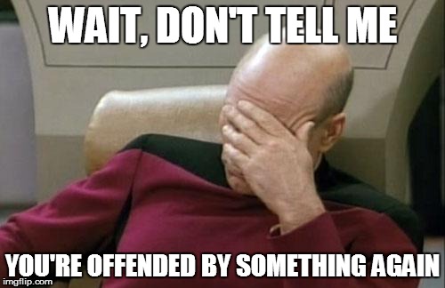 Captain Picard Facepalm | WAIT, DON'T TELL ME YOU'RE OFFENDED BY SOMETHING AGAIN | image tagged in memes,captain picard facepalm | made w/ Imgflip meme maker