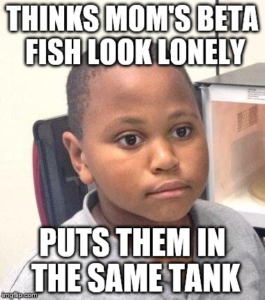 Something fishy about this post  | THINKS MOM'S BETA FISH LOOK LONELY PUTS THEM IN THE SAME TANK | image tagged in memes,minor mistake marvin,sorry,mom,fish,tacos | made w/ Imgflip meme maker