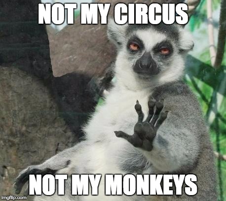 Stoner Lemur | NOT MY CIRCUS NOT MY MONKEYS | image tagged in memes,stoner lemur | made w/ Imgflip meme maker
