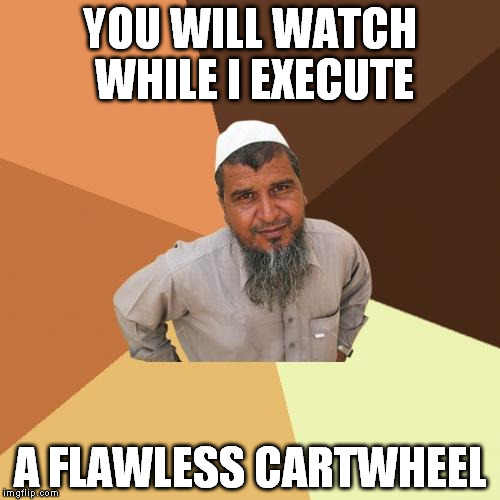 Ordinary Muslim Man Meme | YOU WILL WATCH WHILE I EXECUTE A FLAWLESS CARTWHEEL | image tagged in memes,ordinary muslim man | made w/ Imgflip meme maker