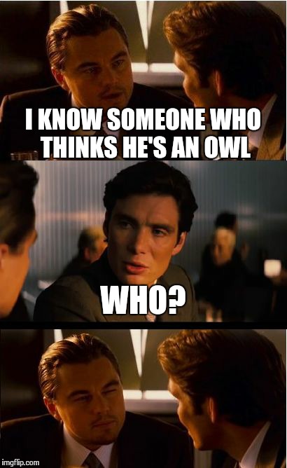 Inception Meme | I KNOW SOMEONE WHO THINKS HE'S AN OWL WHO? | image tagged in memes,inception | made w/ Imgflip meme maker